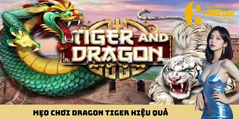 Mẹo chơi Dragon Tiger hiệu quả