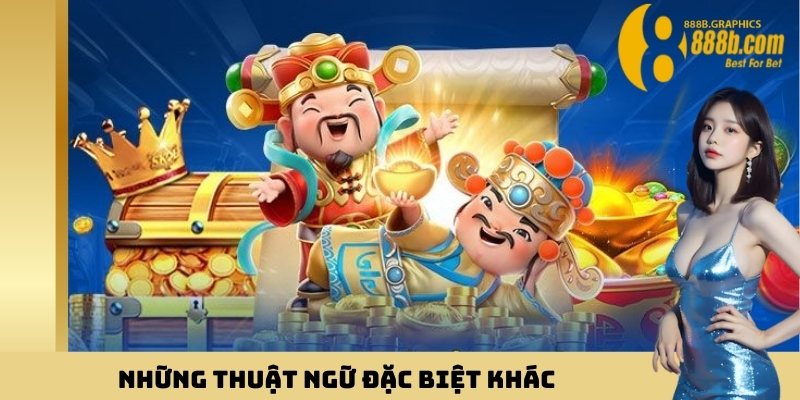 Những thuật ngữ đặc biệt khác