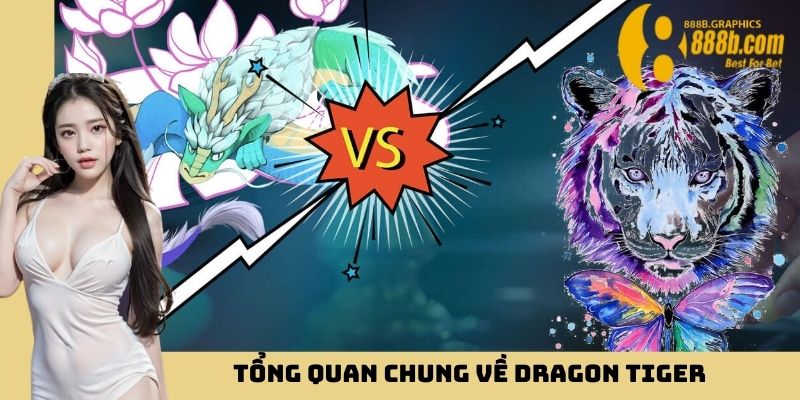 Tổng quan chung về Dragon Tiger